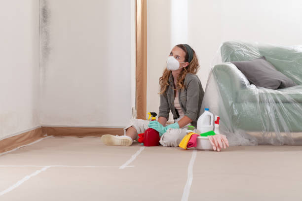 Reliable Mold Testing contractor in Austell, GA by WQB Mold Removal